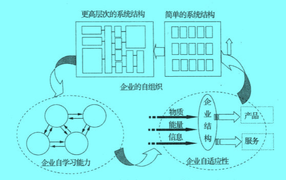 Image:企業(yè)的自學習、自適應、目組織關系.jpg
