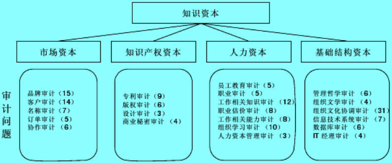 安妮·布魯金的智力資本審計(jì)測(cè)量模型