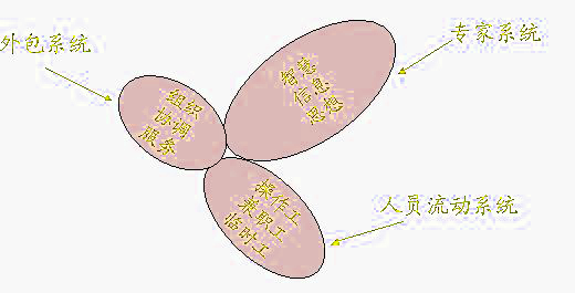 三葉草組織