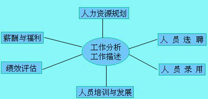 工作分析在人力資源管理中的位置