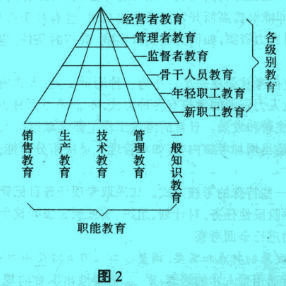 Image:級(jí)別教育與職能教育.jpg