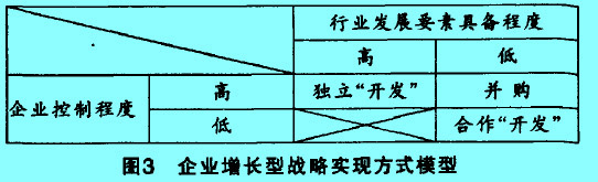 Image:企業(yè)增長型戰(zhàn)略實現(xiàn)方式.jpg