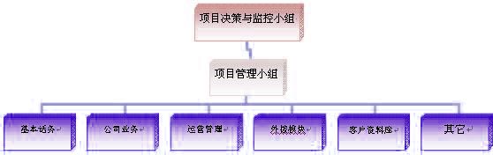 項目小組的組織架構建議